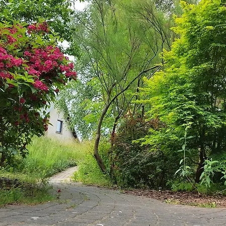 Haus Seefeld Apartment