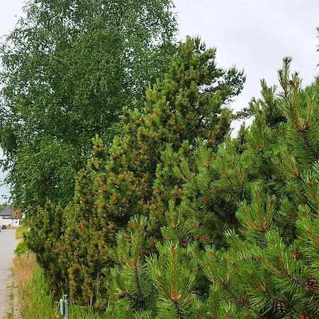 Haus Seefeld Appartamento Uckeritz